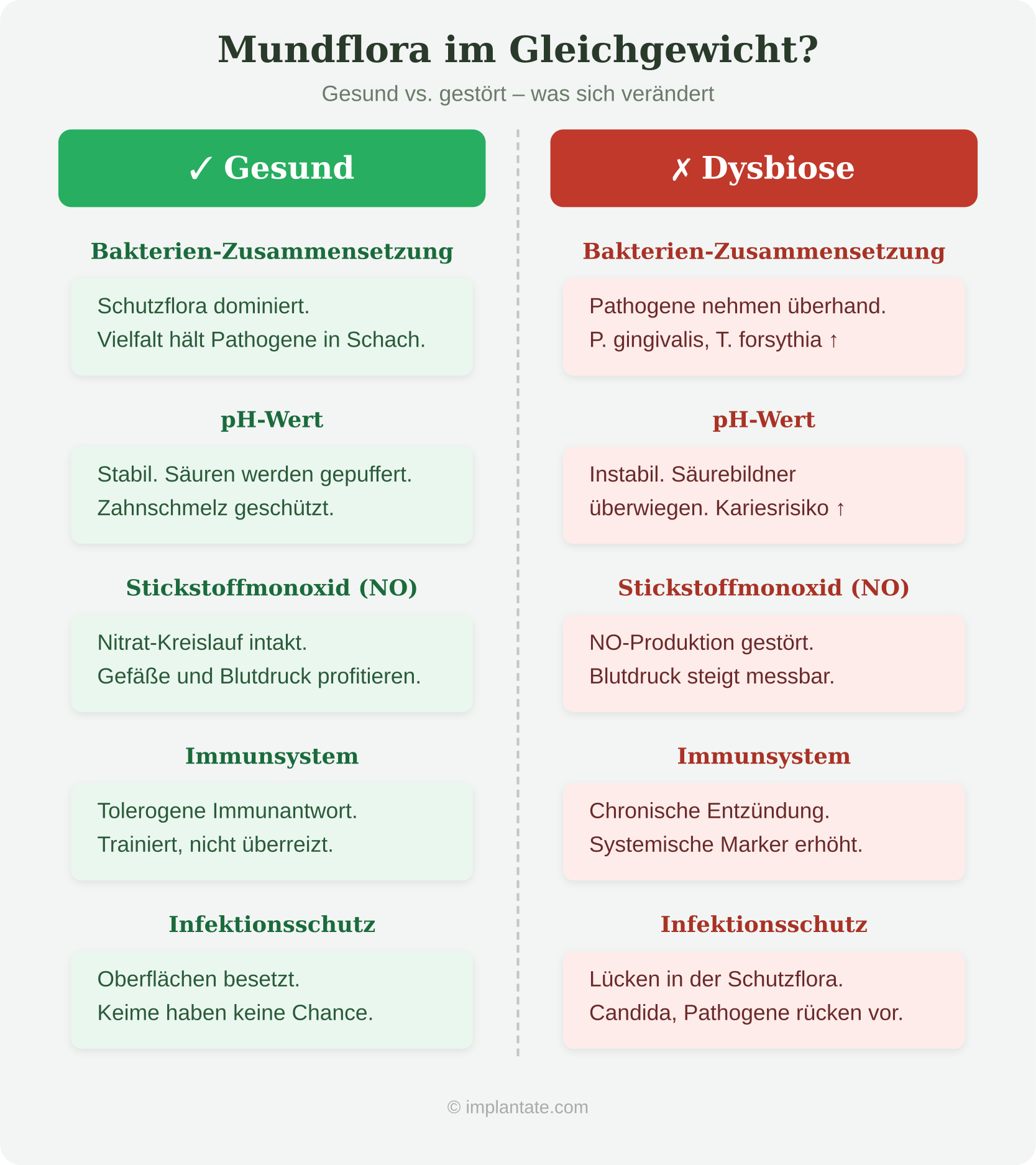 Gesunde Mundflora vs. Dysbiose – Gleichgewicht der Bakterien im Mund